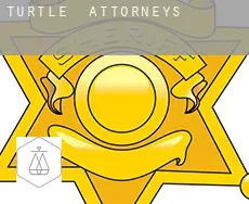Turtle  attorneys