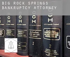 Big Rock Springs  bankruptcy attorney