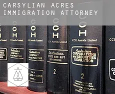 Carsylian Acres  immigration attorney