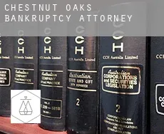 Chestnut Oaks  bankruptcy attorney