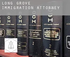 Long Grove  immigration attorney