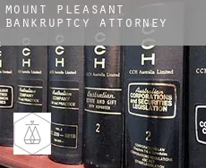 Mount Pleasant  bankruptcy attorney