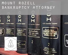 Mount Rozell  bankruptcy attorney