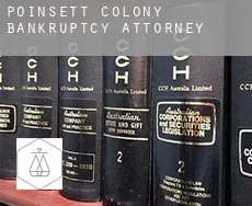 Poinsett Colony  bankruptcy attorney
