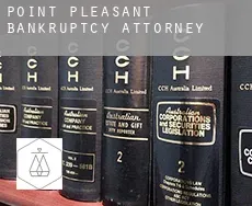 Point Pleasant  bankruptcy attorney