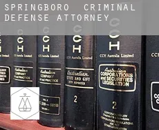 Springboro  criminal defense attorney