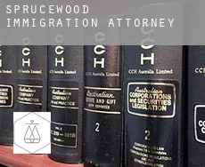 Sprucewood  immigration attorney