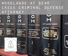 Woodlands at Bear Creek  criminal defense attorney