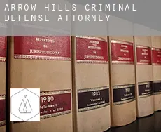 Arrow Hills  criminal defense attorney