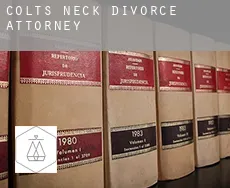 Colts Neck  divorce attorney