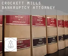 Crockett Mills  bankruptcy attorney