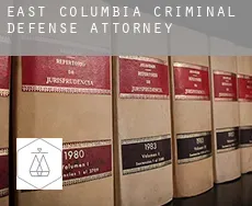 East Columbia  criminal defense attorney