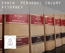 Erwin  personal injury attorney