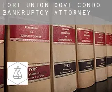 Fort Union Cove Condo  bankruptcy attorney
