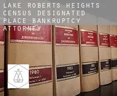 Lake Roberts Heights  bankruptcy attorney