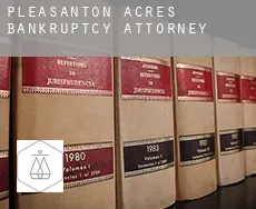 Pleasanton Acres  bankruptcy attorney