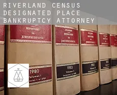 Riverland  bankruptcy attorney