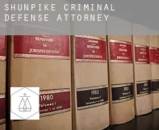 Shunpike  criminal defense attorney