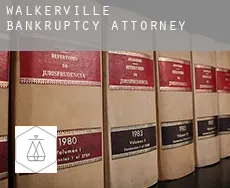 Walkerville  bankruptcy attorney