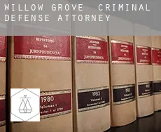 Willow Grove  criminal defense attorney