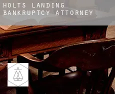 Holts Landing  bankruptcy attorney
