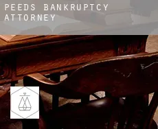 Peeds bankruptcy attorney