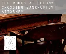 The Woods at Colony Crossing  bankruptcy attorney