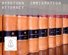 Byrdtown  immigration attorney
