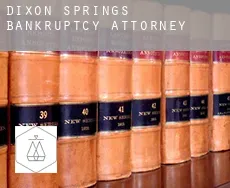 Dixon Springs bankruptcy attorney