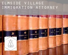 Elmside Village  immigration attorney