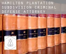 Hamilton Plantation Subdivision  criminal defense attorney
