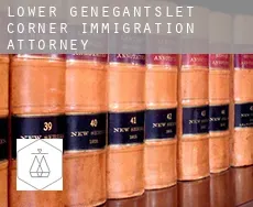 Lower Genegantslet Corner  immigration attorney