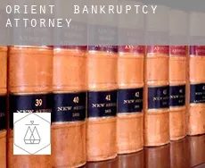 Orient  bankruptcy attorney