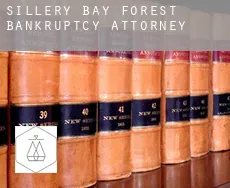 Sillery Bay Forest  bankruptcy attorney