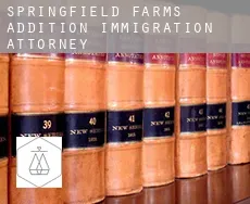 Springfield Farms Addition  immigration attorney