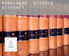 Woodlands  divorce attorney