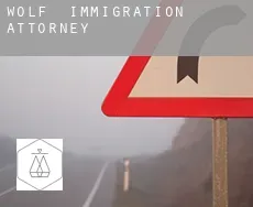 Wolf immigration attorney