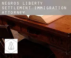 Negros Liberty Settlement  immigration attorney