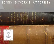 Bonny  divorce attorney