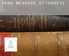 Fawn Meadows  attorneys