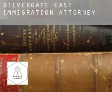 Silvergate East  immigration attorney
