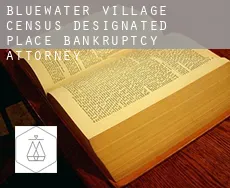 Bluewater Village  bankruptcy attorney