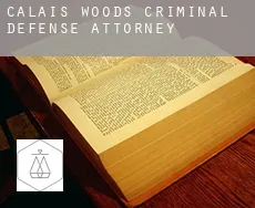 Calais Woods  criminal defense attorney