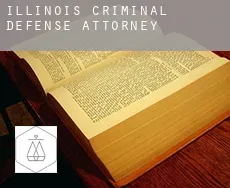 Illinois  criminal defense attorney