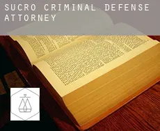 Sucro  criminal defense attorney