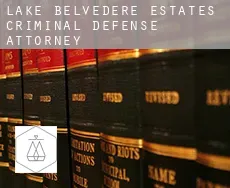 Lake Belvedere Estates  criminal defense attorney
