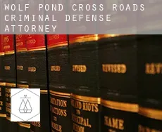 Wolf Pond Cross Roads criminal defense attorney