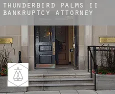 Thunderbird Palms II  bankruptcy attorney