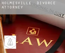 Holmesville  divorce attorney