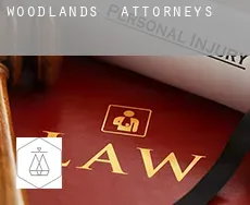Woodlands  attorneys